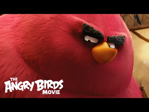 what did terence from angry birds do