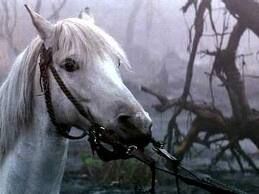 horses name in the neverending story