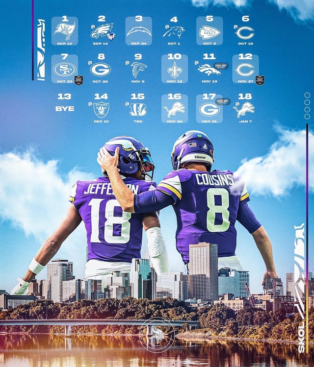 minnesota vikings reddit