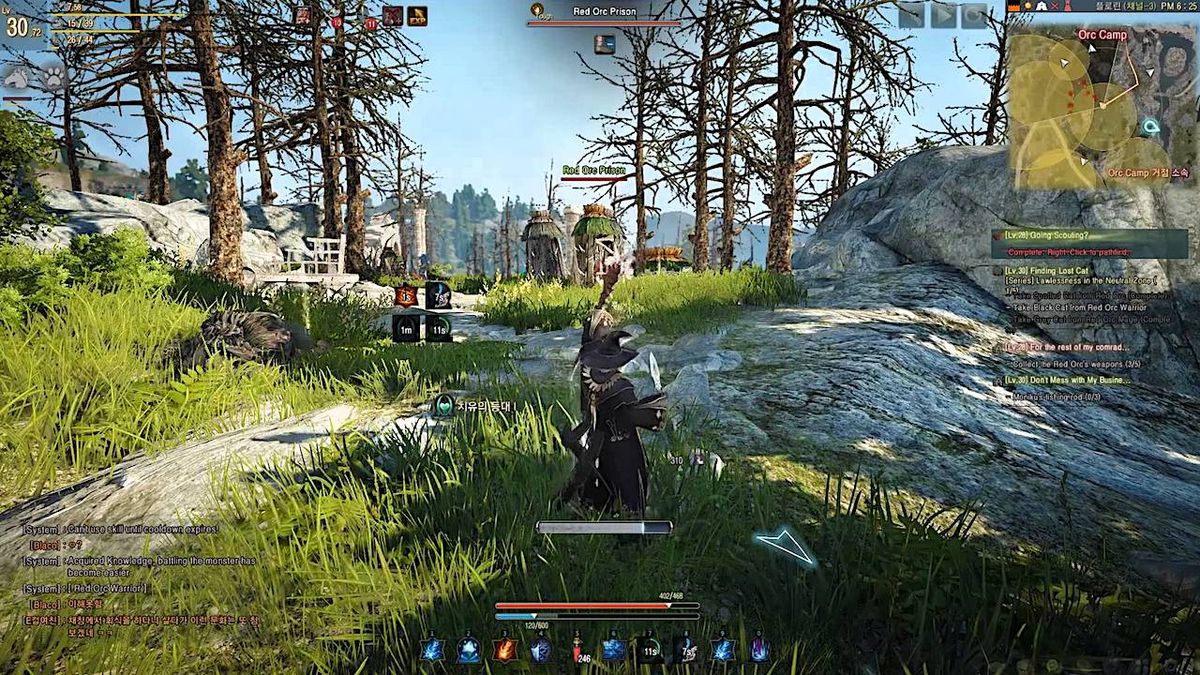 black desert gameplay