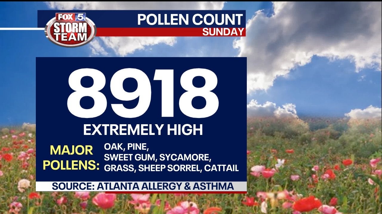 pollen count columbus ga