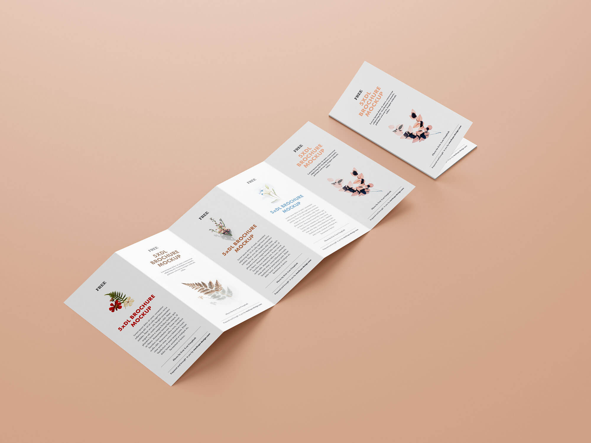 5 panel brochure template