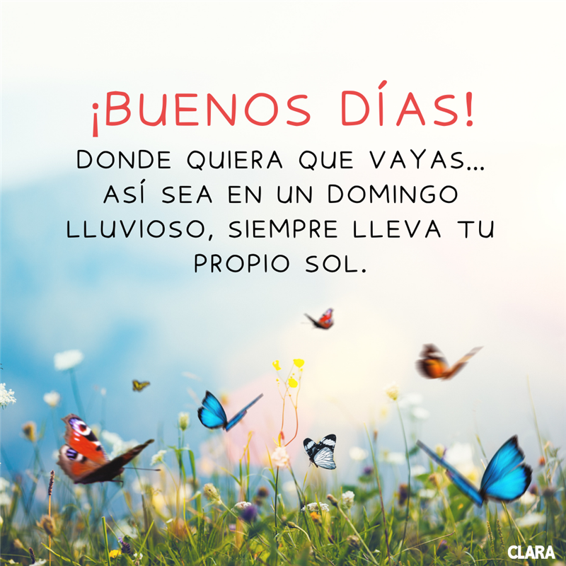 feliz domingo frases positivas