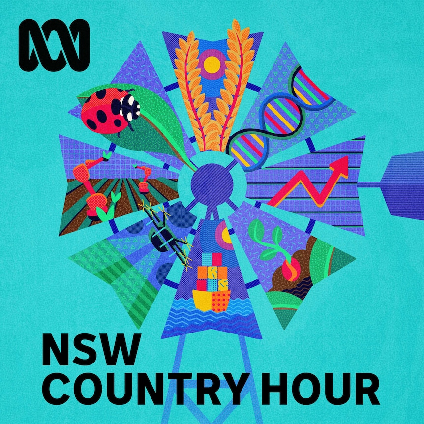 abc country hour listen live