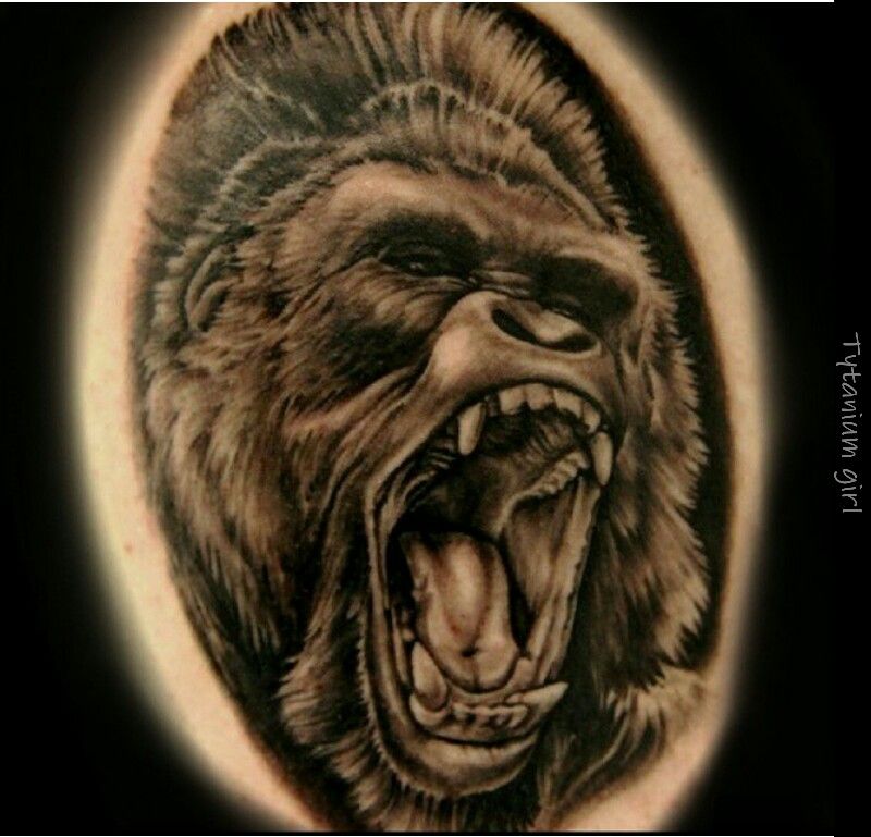 gorilla tattoo ink master