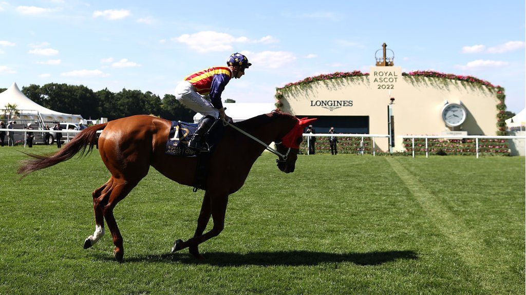 ascot australia race results