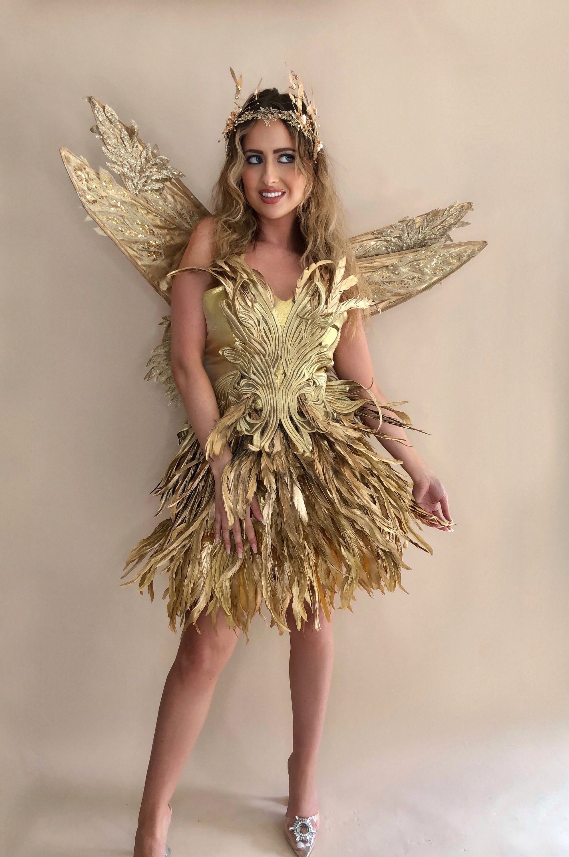 adult womens fairy costume