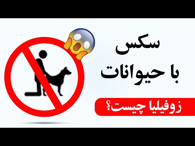 سک با حیوانات