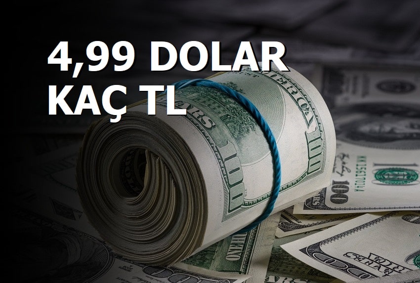 425 tl kaç dolar