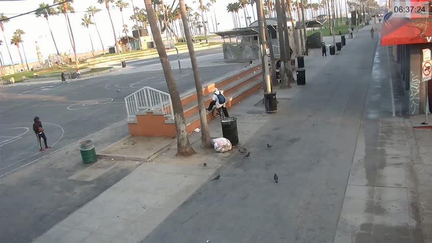 venice beach california webcam