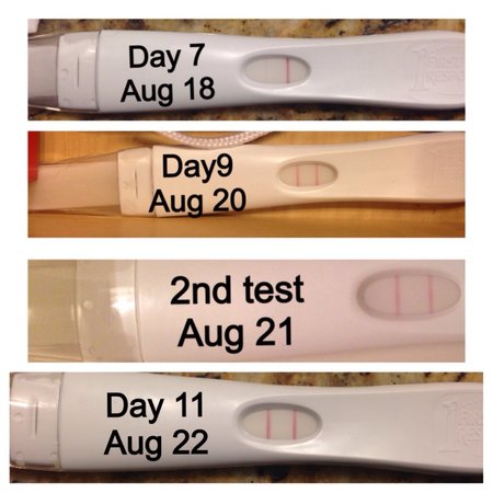 8 days post ovulation