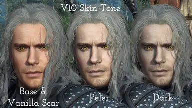 the witcher 3 nexus