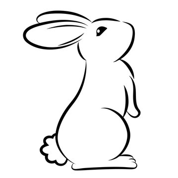 line drawing bunny