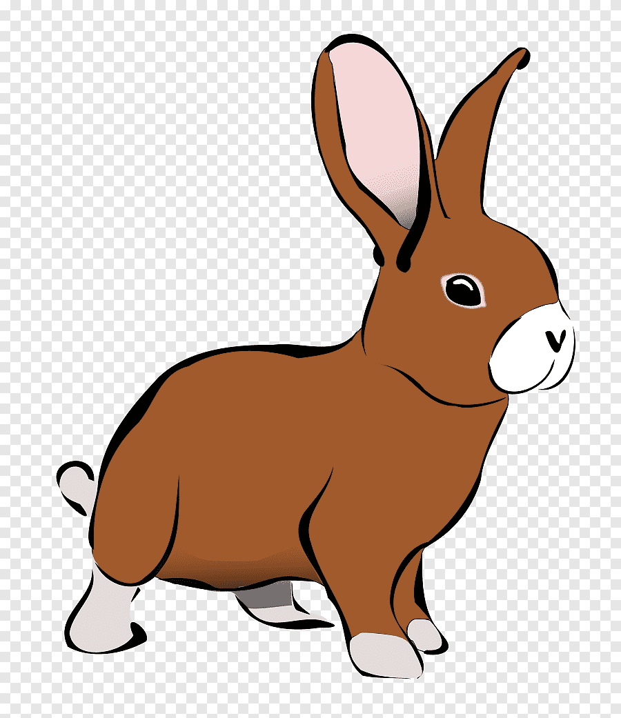 hare clipart