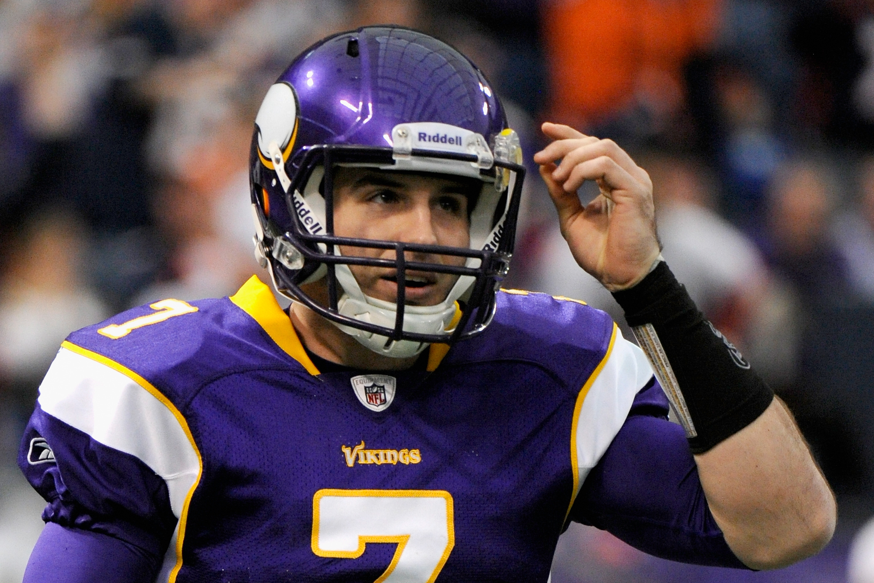 2012 minnesota vikings