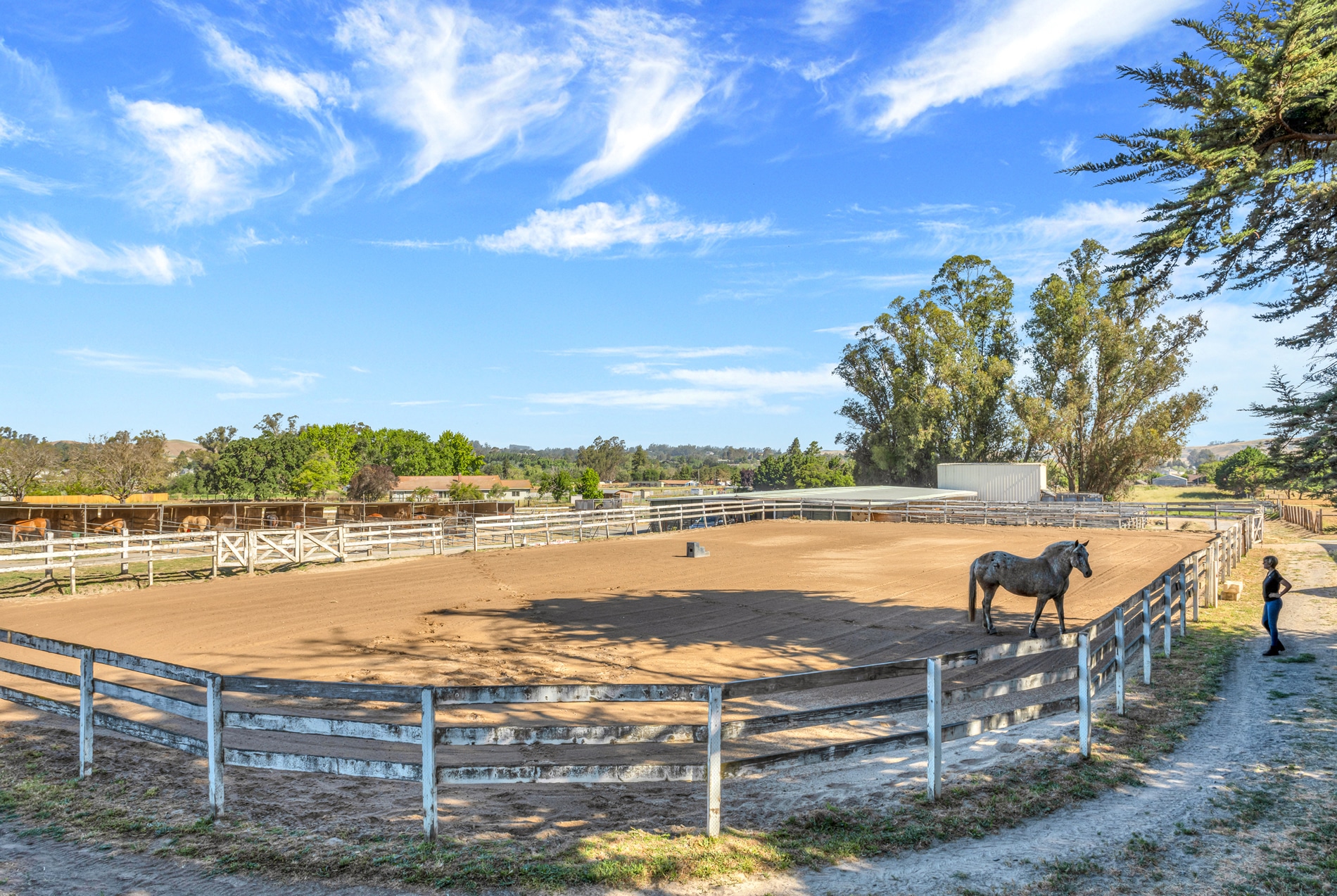 horse ranches for sale in california