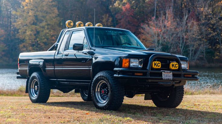 back to the future black pickup