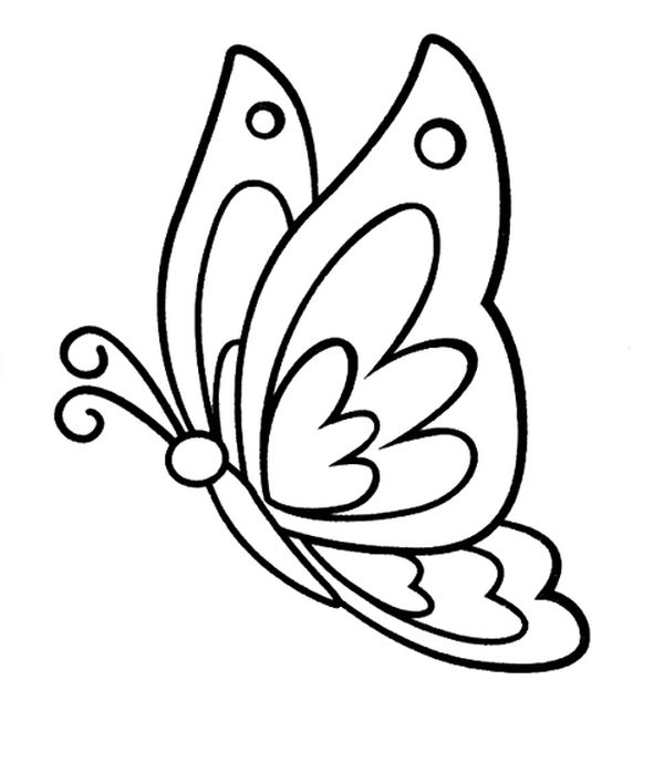 mariposas para dibujar