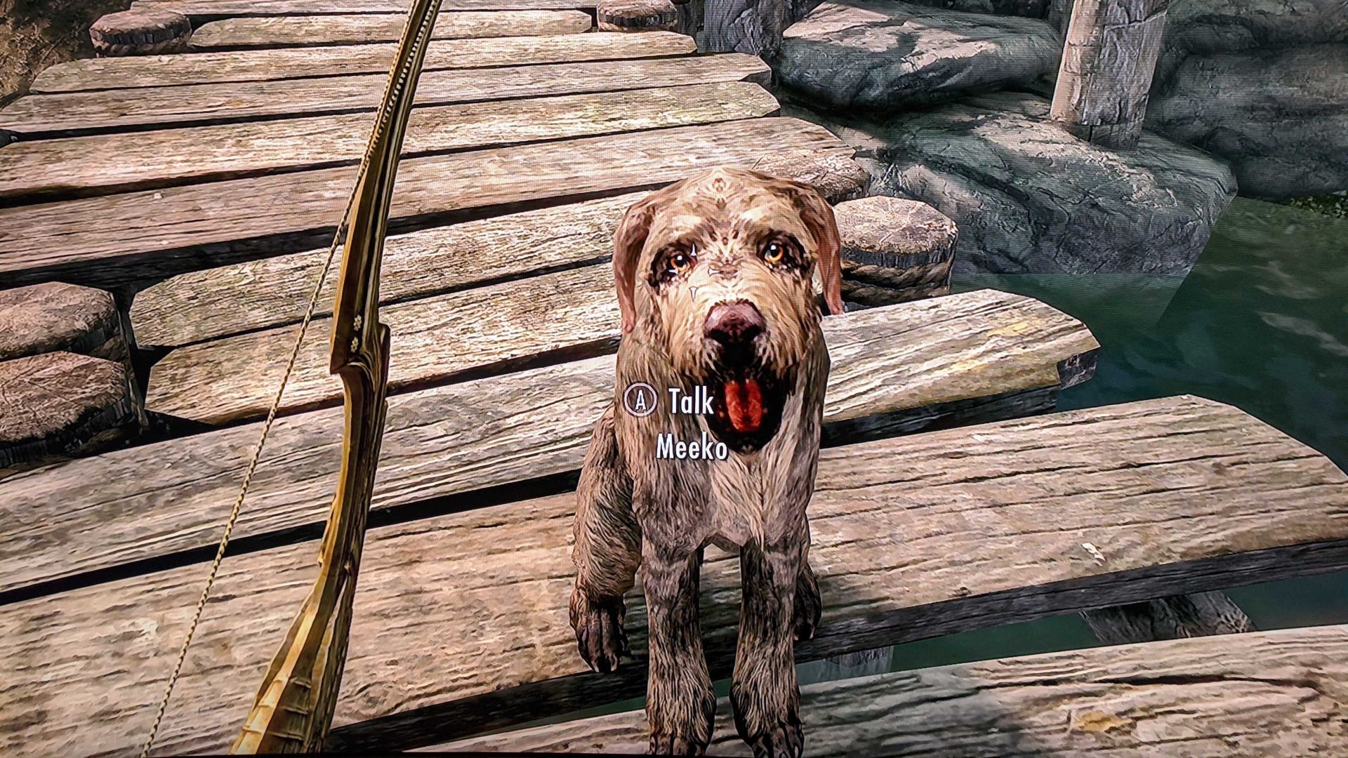 skyrim dog