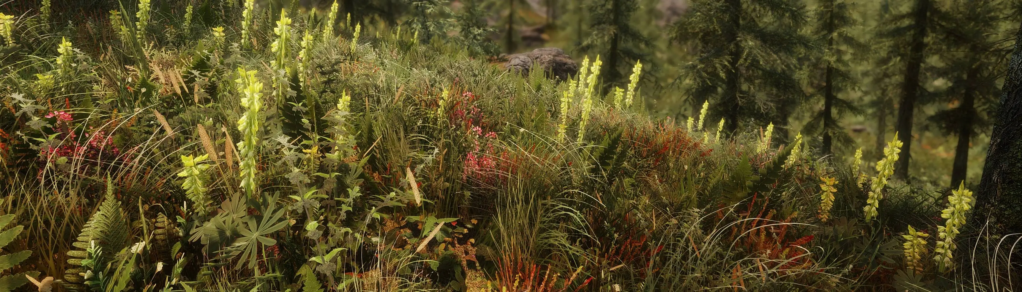 skyrim se grass mod