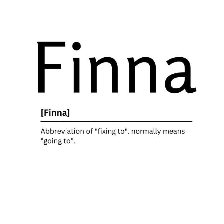 definition of finna