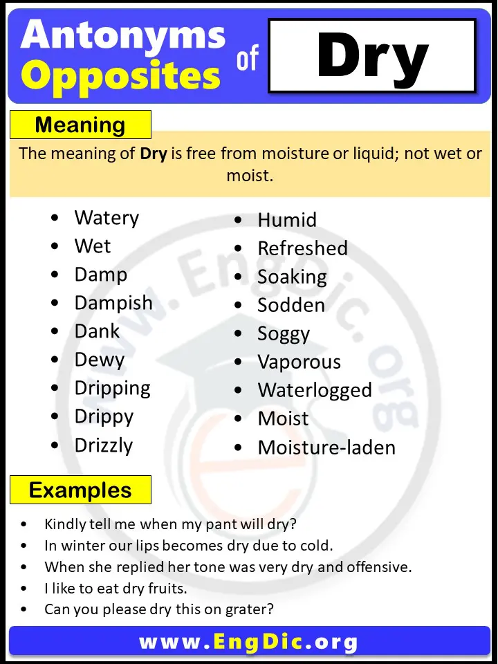 antonyms dry