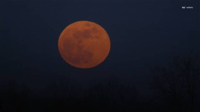 what time will moon rise tonight in adelaide