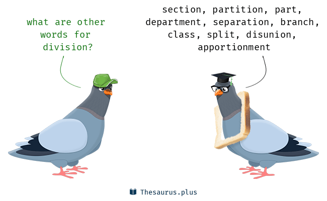 thesaurus division