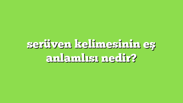 serüvenin eş anlamlısı