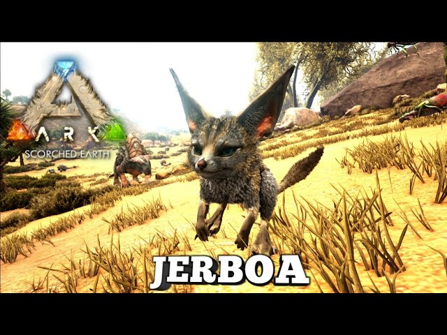 jerboa ark