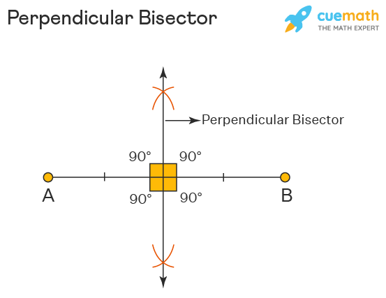 what is a segment bisector in geometry