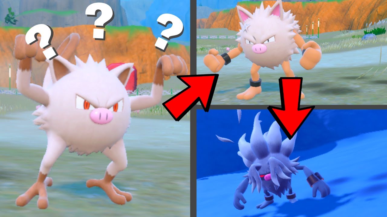 mankey evolution level