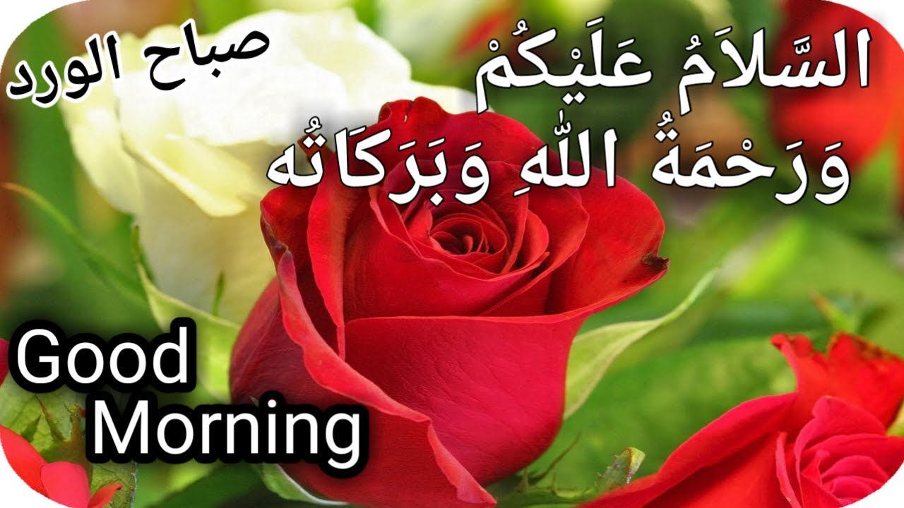 assalamualaikum good morning sms