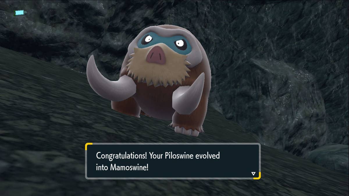 piloswine evolve