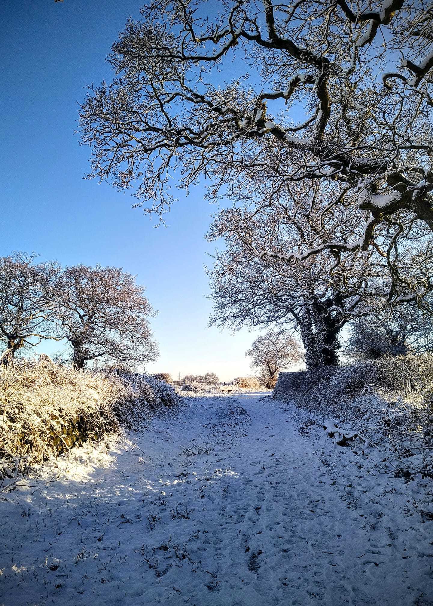 weather the wirral