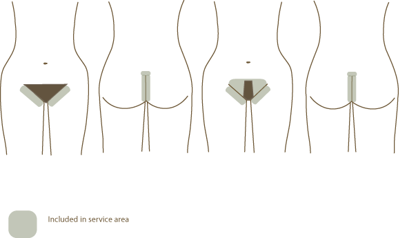 bikini wax area diagram