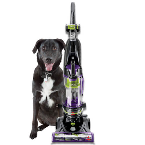 bissell powerlifter swivel pet