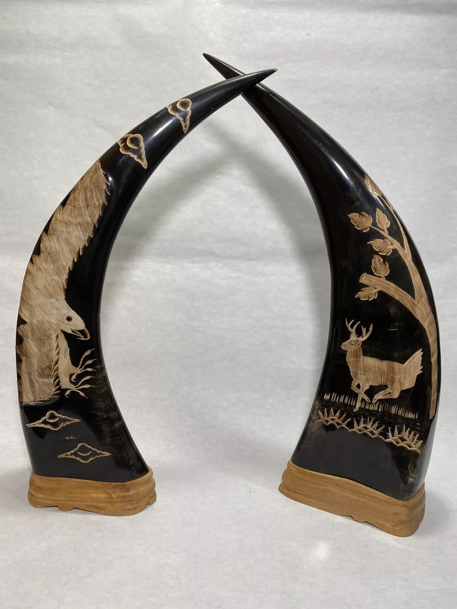 carved buffalo horns