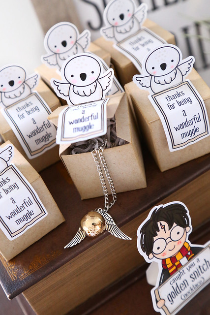 harry potter party favors