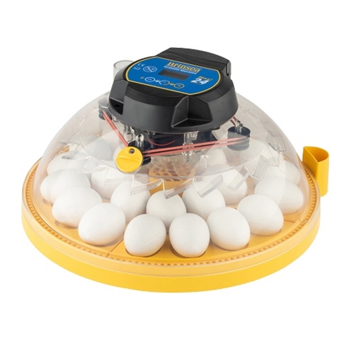 small egg incubator