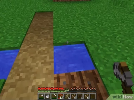 how to grow seeds in minecraft