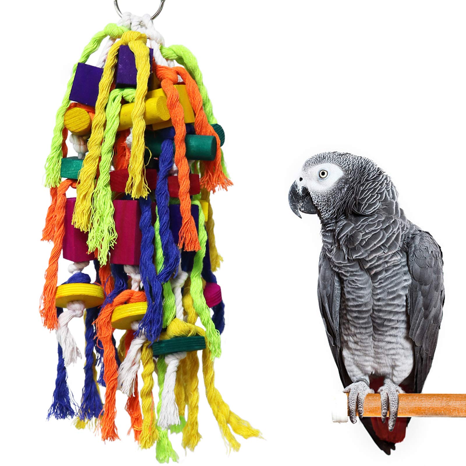 parrot toys amazon