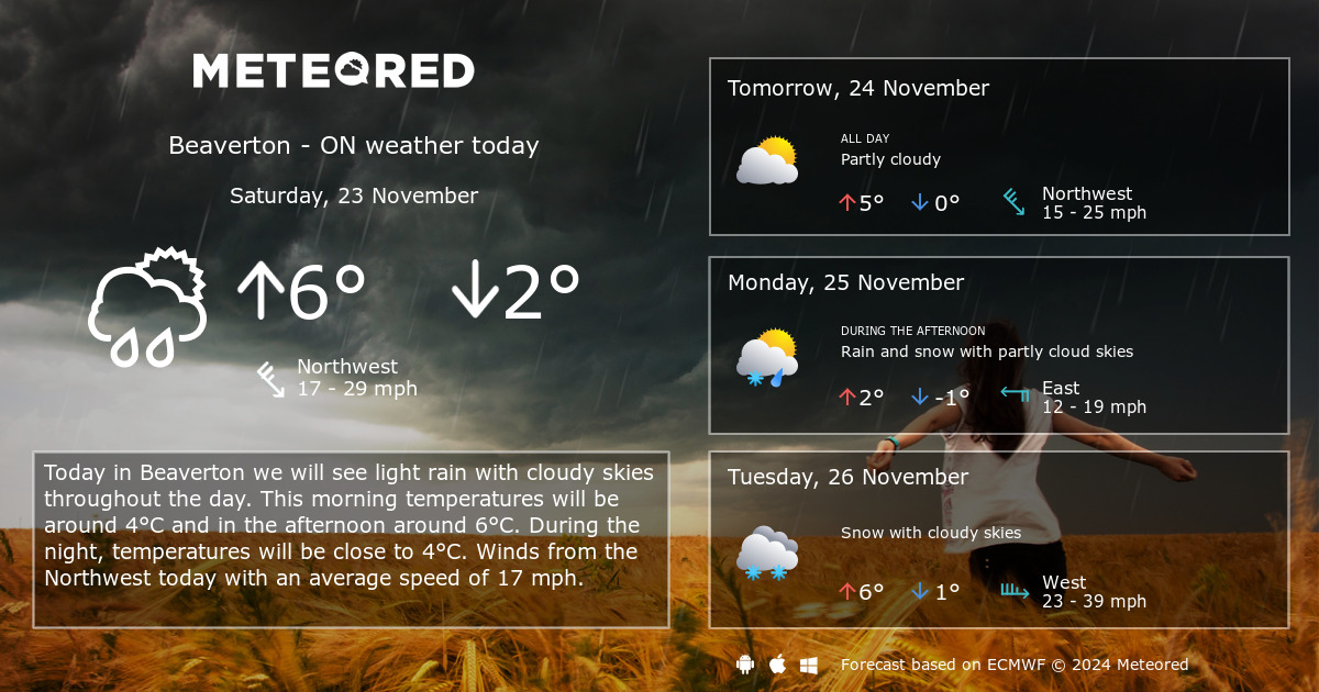 weather in beaverton ontario