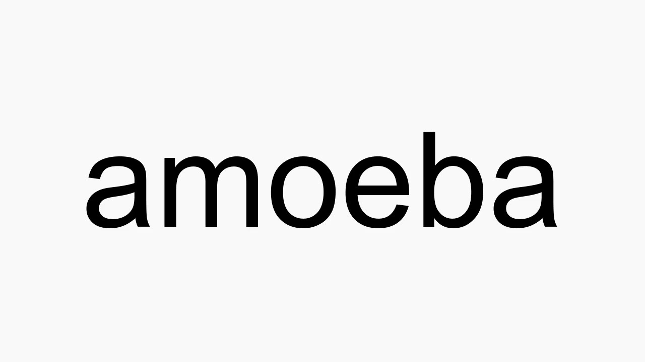 amoeba pronounce