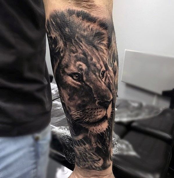 lion tattoo men