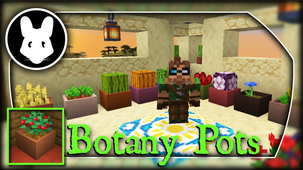 botany pots