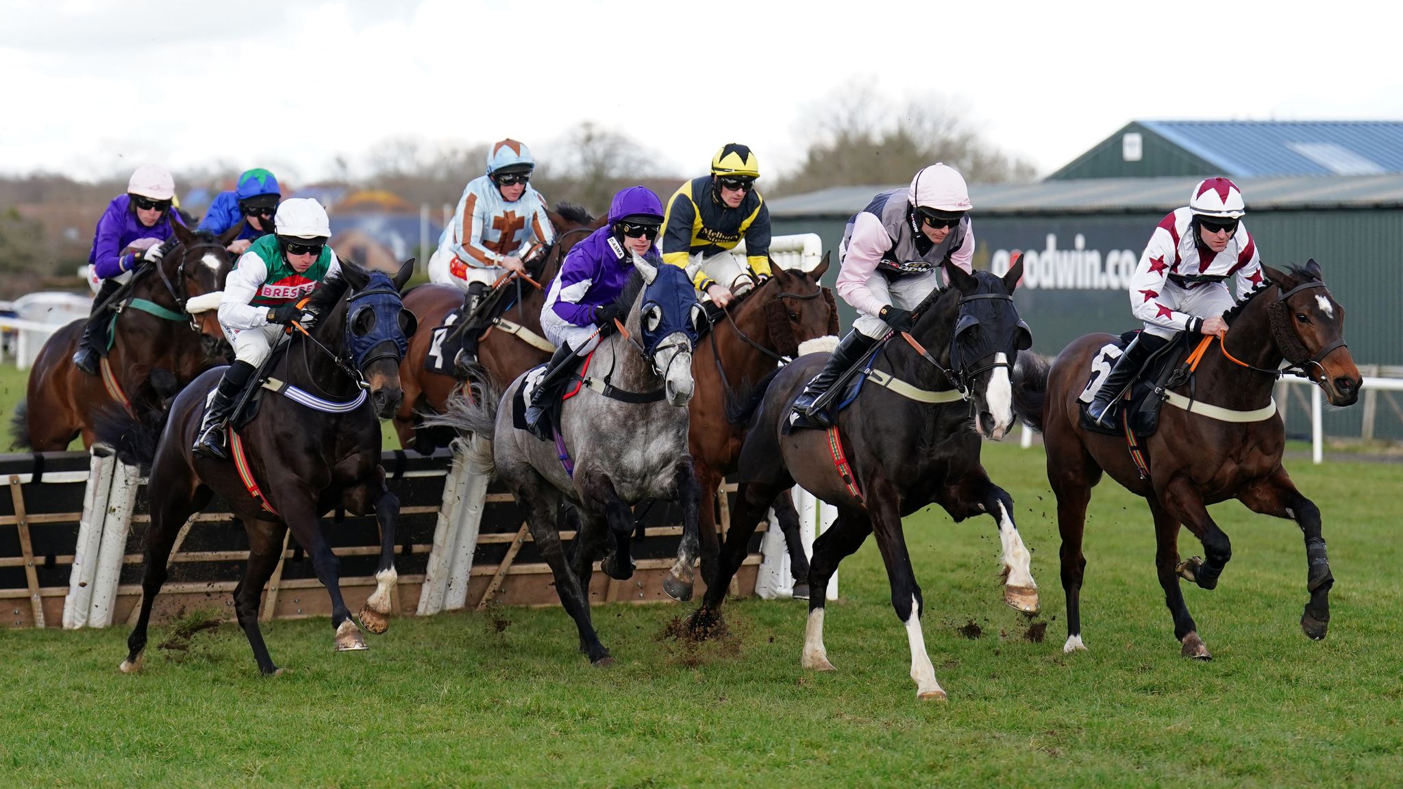 racing at plumpton today