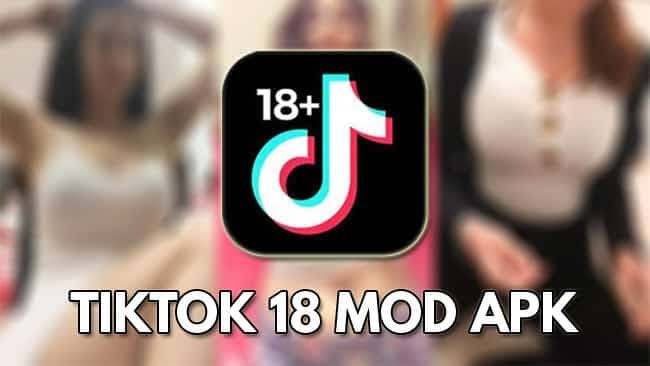 18 plus tik tok videos