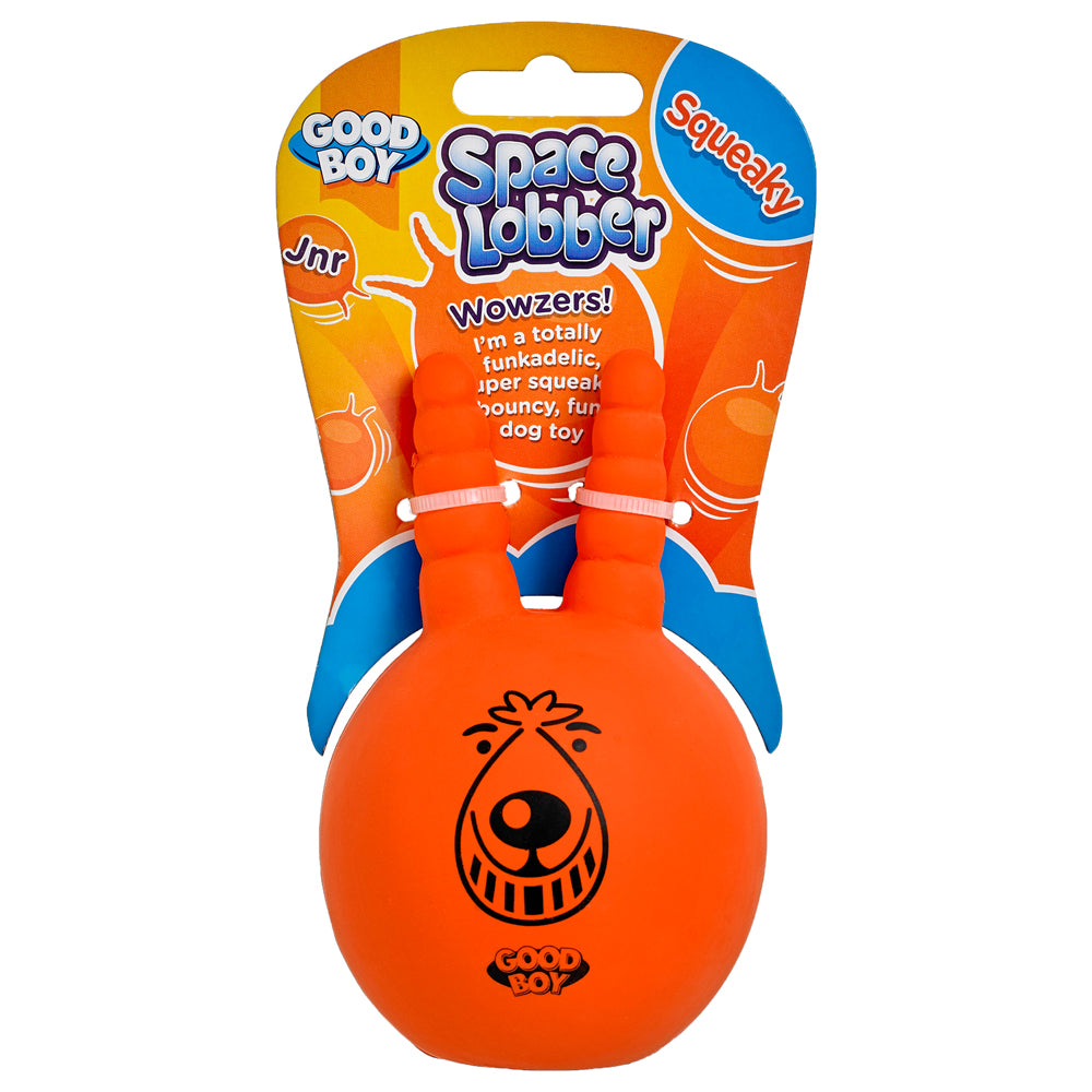 dog space hopper toy