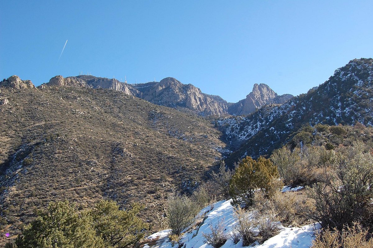 cibola national forest